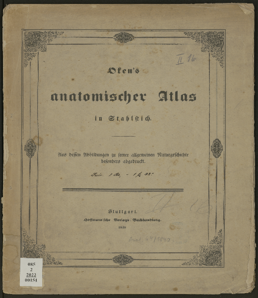 Oken's anatomischer Atlas in Stahlstich