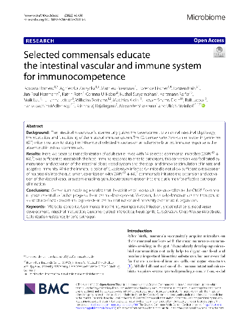 Selected commensals educate the intestinal vascular and immune system for immunocompetence