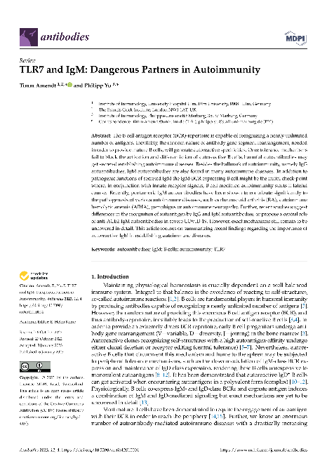 TLR7 and IgM: Dangerous Partners in Autoimmunity
