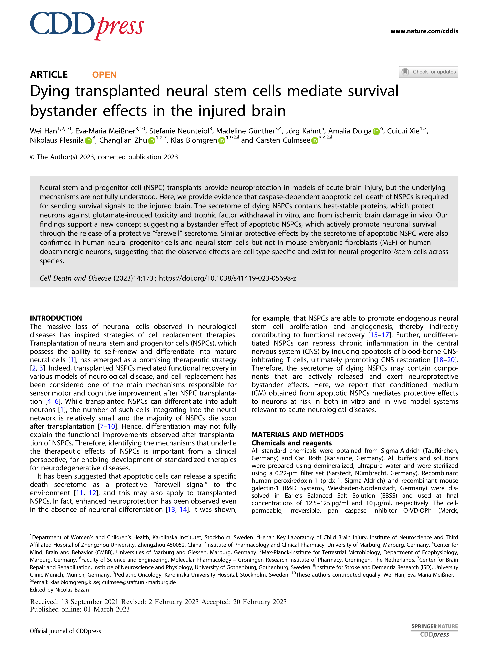 Dying transplanted neural stem cells mediate survival bystander effects in the injured brain