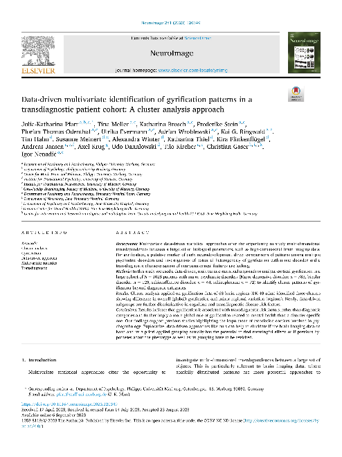 Data-driven multivariate identification of gyrification patterns in a transdiagnostic patient cohort: A cluster analysis approach