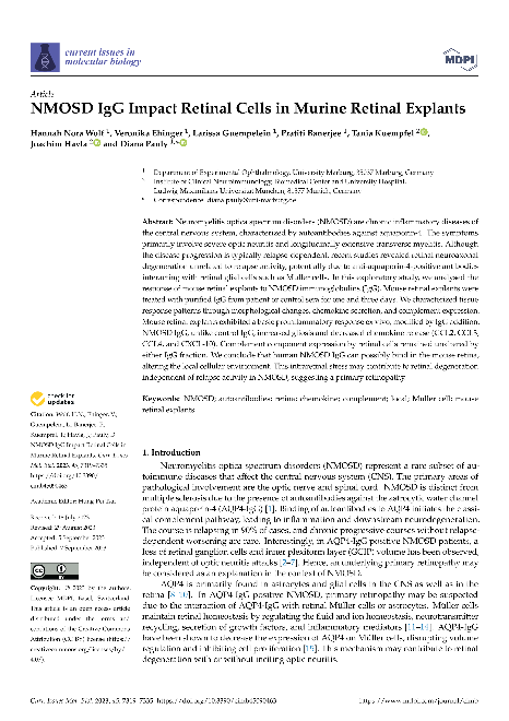 NMOSD IgG Impact Retinal Cells in Murine Retinal Explants