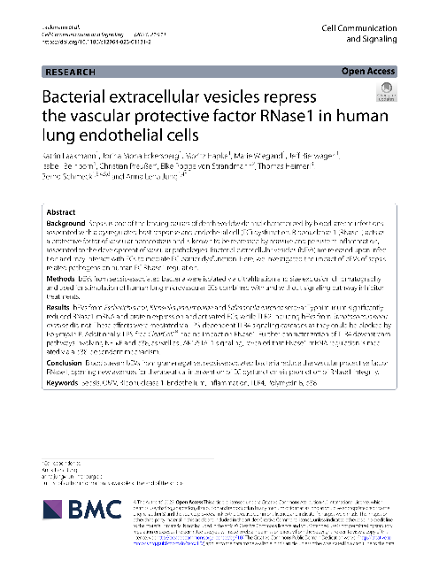 Bacterial extracellular vesicles repress the vascular protective factor RNase1 in human lung endothelial cells