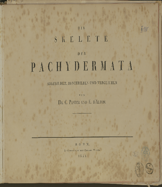 Die Skelete der Pachydermata : abgebildet, beschrieben und verglichen