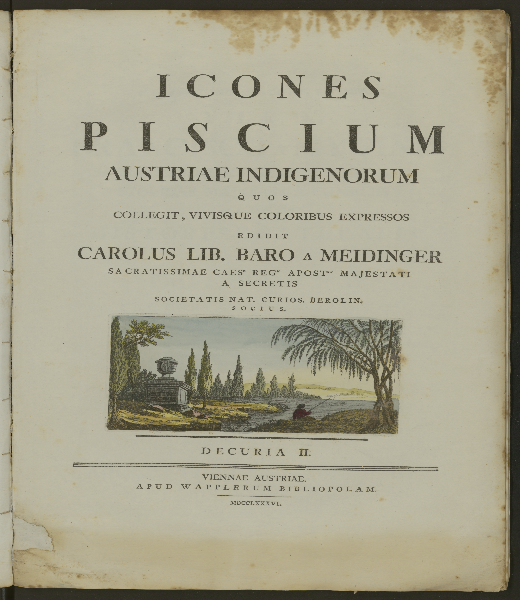 Icones piscium Austriae indigenorum. 2, Decuria