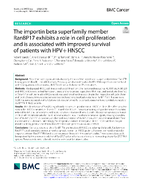 The importin beta superfamily member RanBP17 exhibits a role in cell proliferation and is associated with improved survival of patients with HPV+ HNSCC