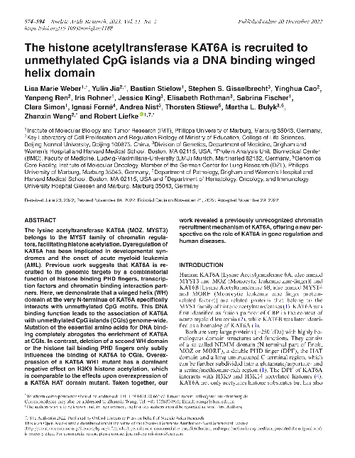 The histone acetyltransferase KAT6A is recruited to unmethylated CpG islands via a DNA binding winged helix domain