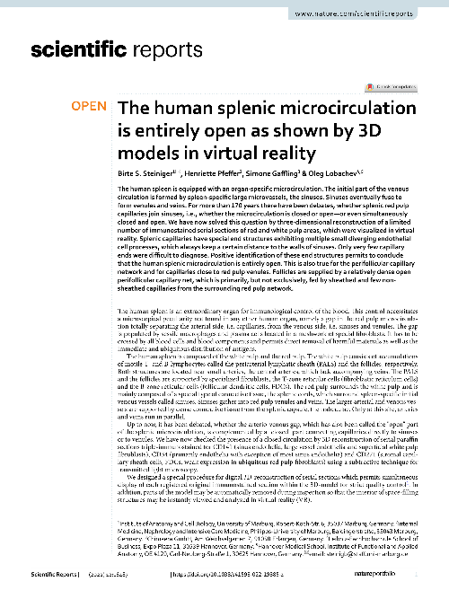 The human splenic microcirculation is entirely open as shown by 3D models in virtual reality
