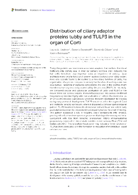 Distribution of ciliary adaptor proteins tubby and TULP3 in the organ of Corti