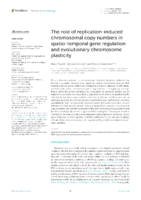 The role of replication-induced chromosomal copy numbers in spatio-temporal gene regulation and evolutionary chromosome plasticity