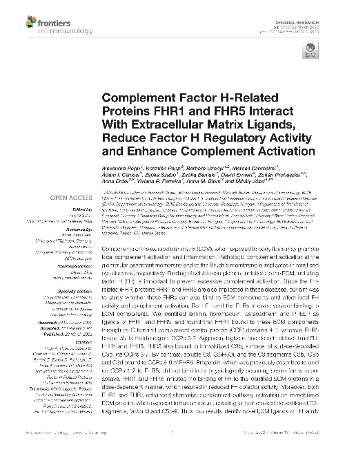 Complement Factor H-Related Proteins FHR1 and FHR5 Interact With Extracellular Matrix Ligands, Reduce Factor H Regulatory Activity and Enhance Complement Activation