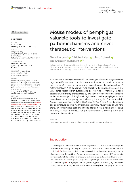 Mouse models of pemphigus: valuable tools to investigate pathomechanisms and novel therapeutic interventions