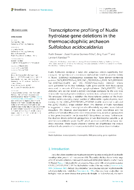 Transcriptome profiling of Nudix hydrolase gene deletions in the thermoacidophilic archaeon Sulfolobus acidocaldarius