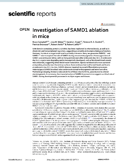 Investigation of SAMD1 ablation in mice