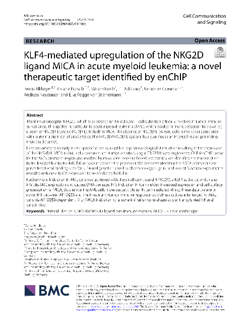 KLF4‑mediated upregulation of the NKG2D ligand MICA in acute myeloid leukemia: a novel therapeutic target identified by enChIP